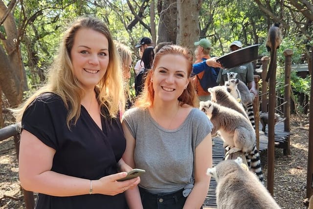 Ladies with the lemurs on the wooden bridge